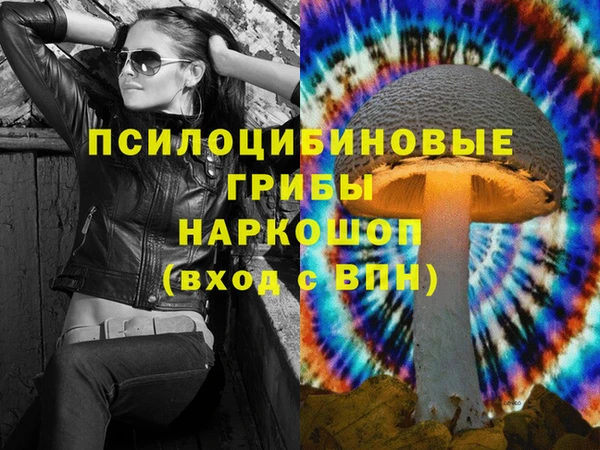гидра Пролетарск