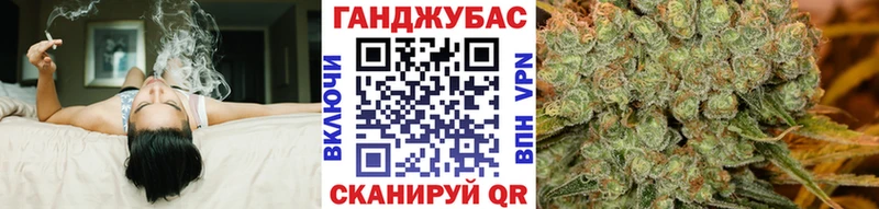 Канабис план  Бологое 